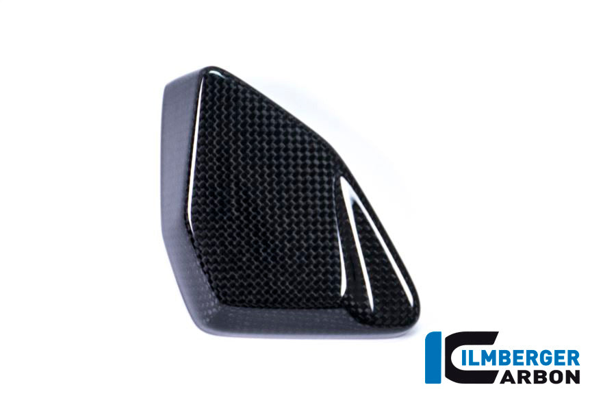 Ilmberger Carbon ESA Box Cover BMW R 1200 GS