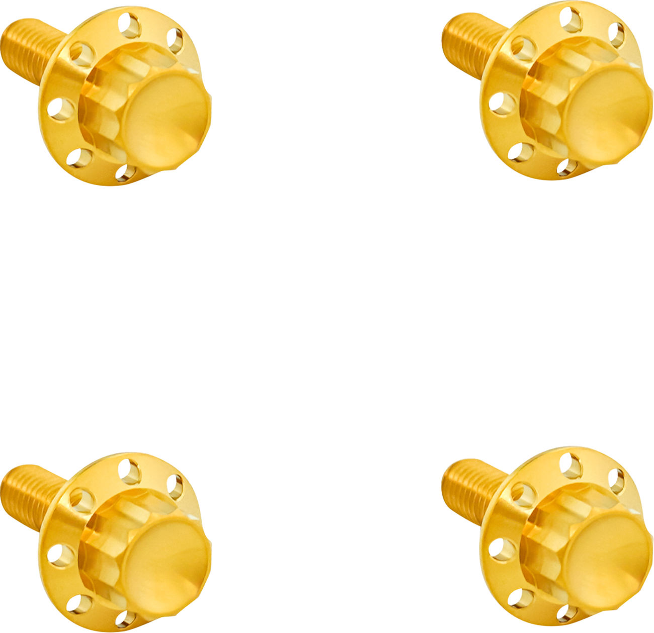 Arlen NESS Titanium 12-Point Windshield Bolts