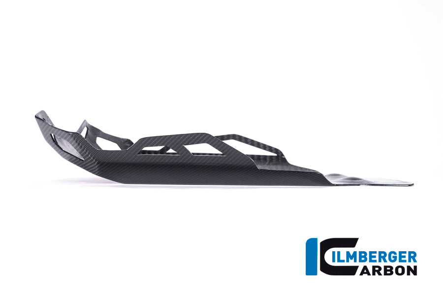 Ilmberger Carbon Sump Guard / Undertray BMW R 1250 GS