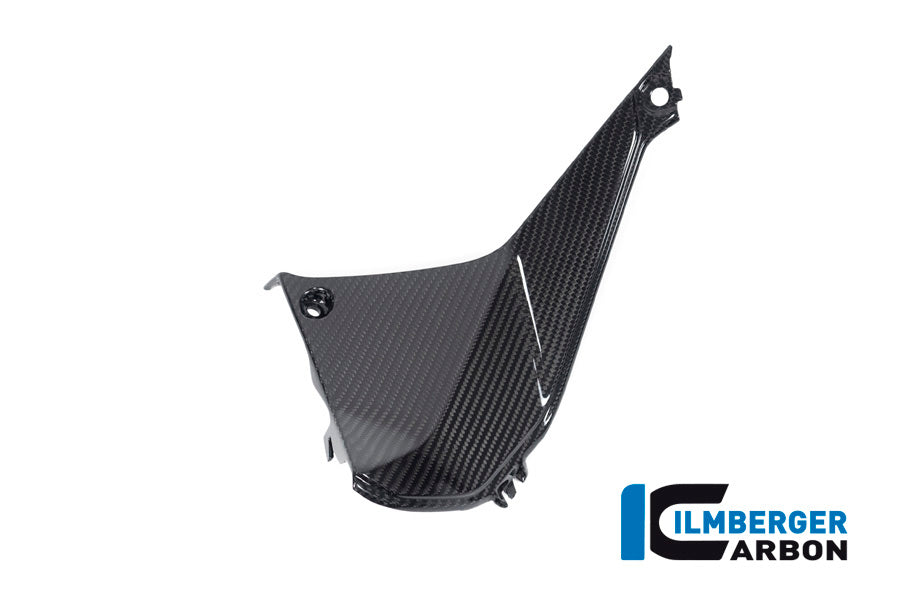 Ilmberger Carbon Cover Near The Instrument Left Side BMW R 1250 RS´19
