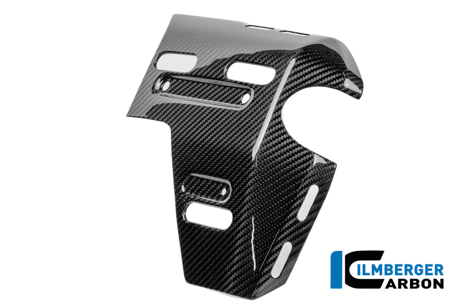 Ilmberger Carbon Radiator Cover With Holes Right BMW R 1300 GS Adventure - Gloss / Twill