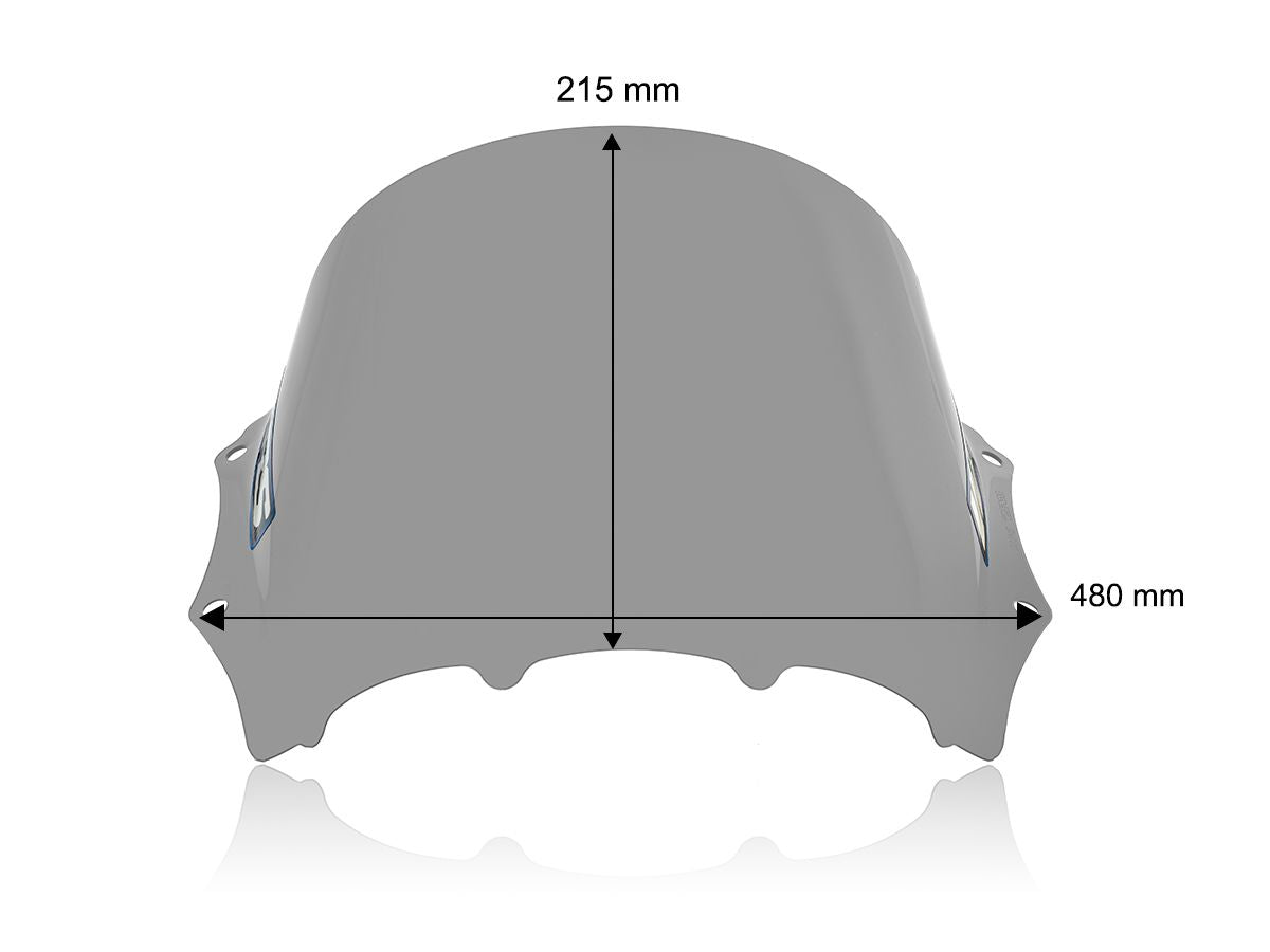 WRS Race Windscreen BMW M 1000 RR 2023-2024