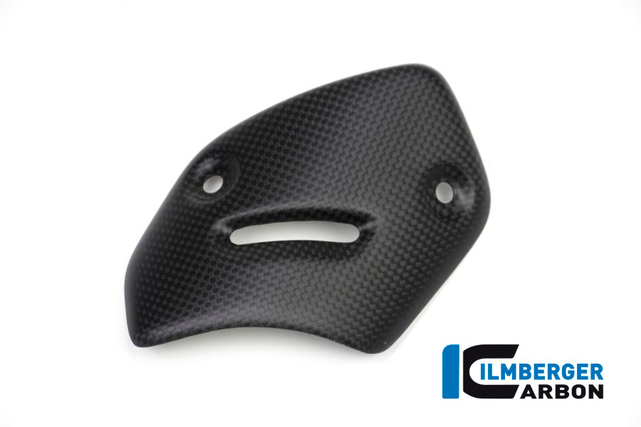 Ilmberger Carbon Protector On The Silencer Ducati XDiavel 2016