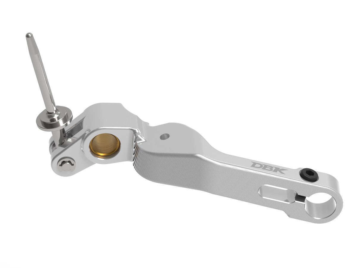 Ducabike DBK RPLF32 Streetfighter V4 MY 25 Brake Lever - SILVER