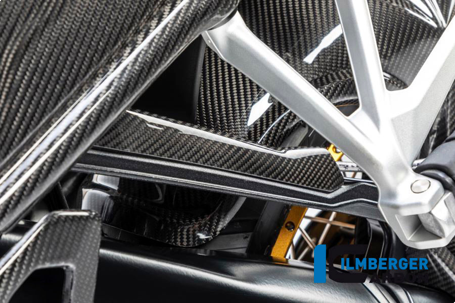 Ilmberger Carbon Brake-Pipe Cover BMW R 1250 GS
