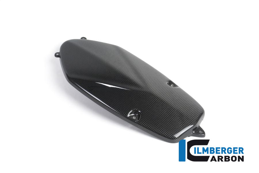 Ilmberger Carbon Alternator Cover Carbon