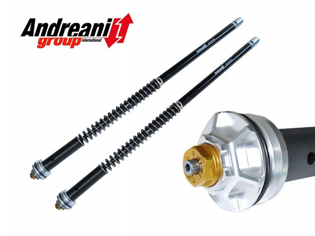 Ducabike DBK CFD105/W21E BMW RnineT Pure Adjustable CARTRIDGE KIT