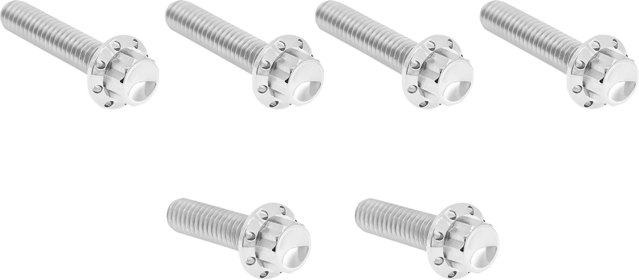 Arlen NESS Transmission Side Cover Titanium 12-Point Bolt Kit
