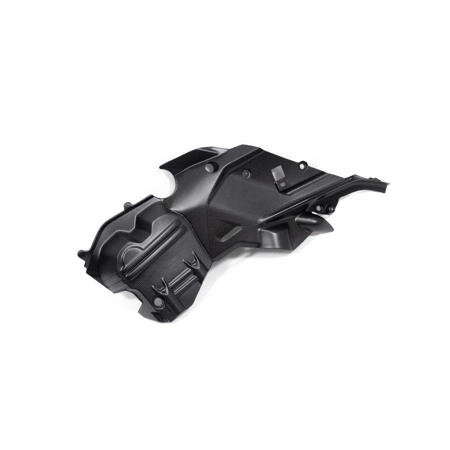 Ilmberger Carbon Fiber Right Side Engine Cover Ducati Diavel V4 - Satin