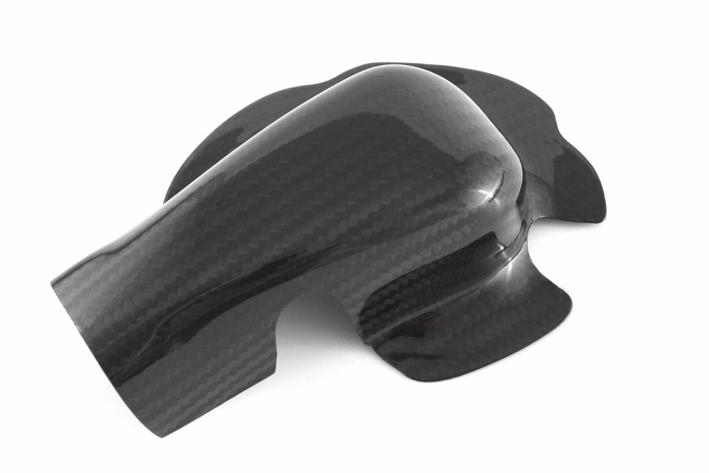 Fullsix Carbon Water Pump Protection Guard