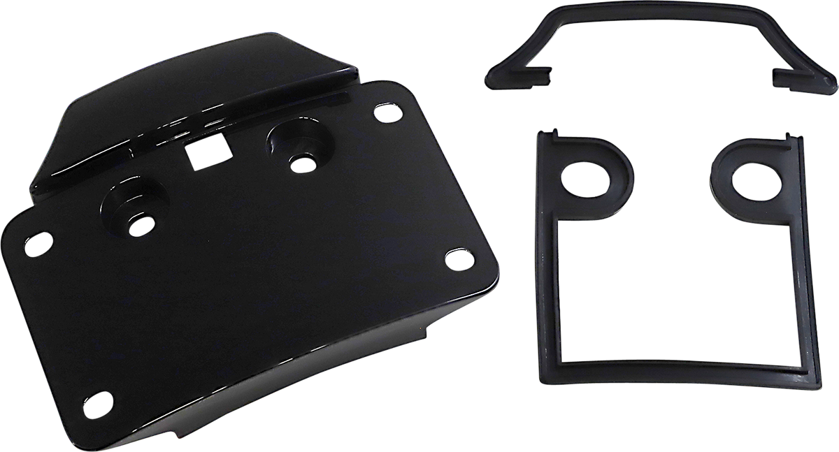 Custom Dynamics Radius License Plate Mount Assembly For CVO™