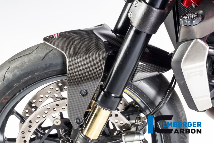 Ilmberger Carbon Front Fender Ducati Monster 1200 - Gloss