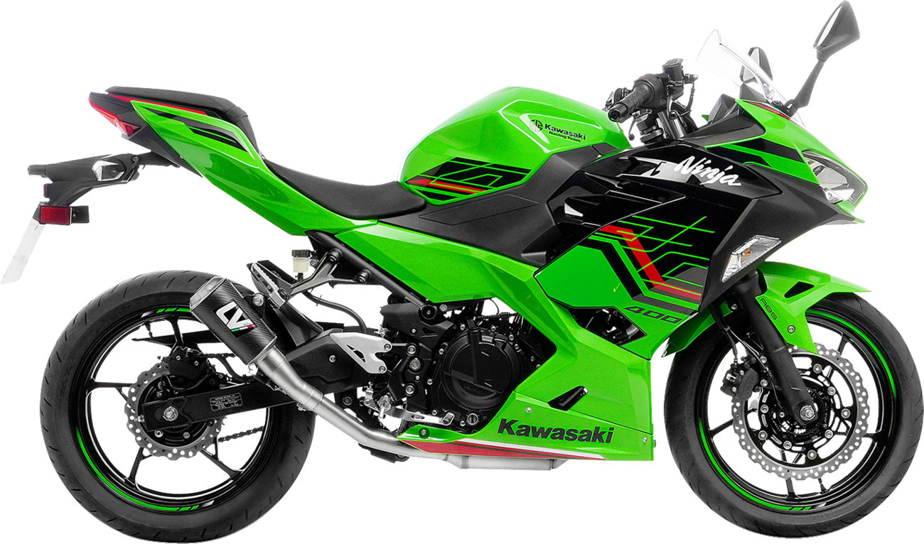 LeoVince LV-10 Muffler