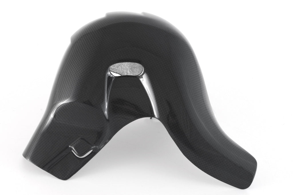 Fullsix Carbon Exhaust Protection OEM Euro5 - 2021