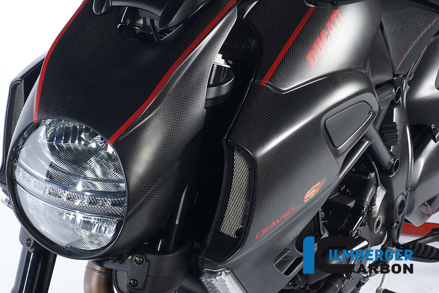 Ilmberger Carbon Headlight/Lamp Fairing Carbon