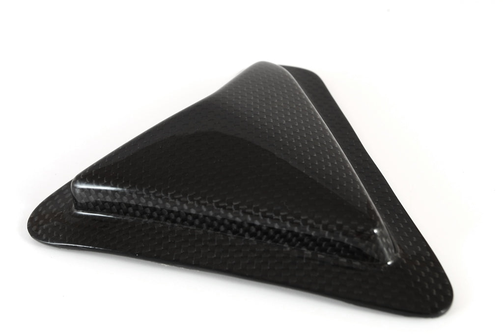 Fullsix Carbon Swingarm Guard - Slider