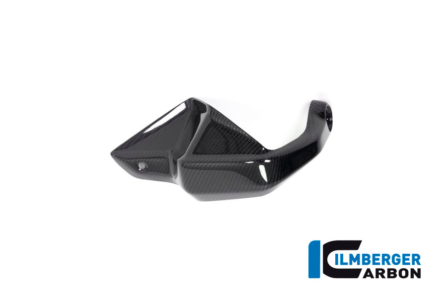 Ilmberger Carbon Hand Protector Left Side BMW R 1250 GS