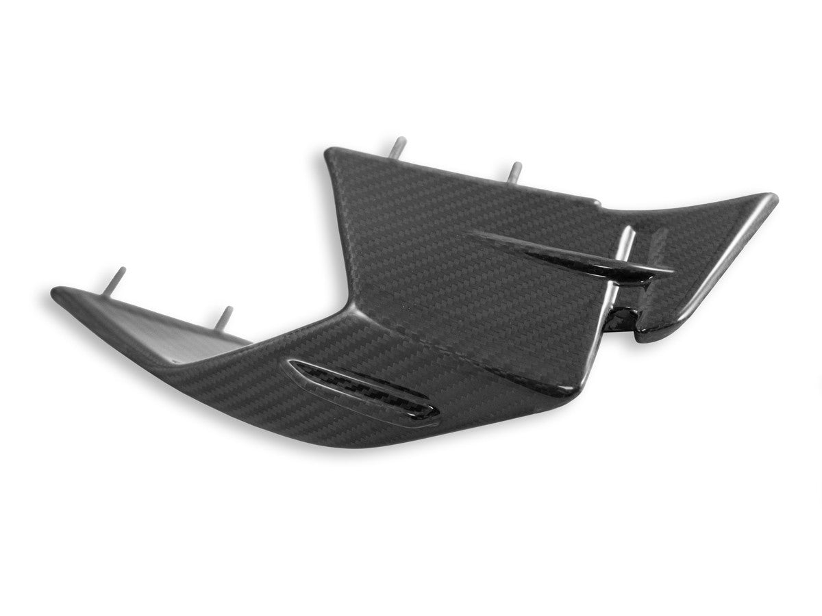 Ducabike DBK CRB142L BMW S1000RR My23 Glossy Carbon Winglets