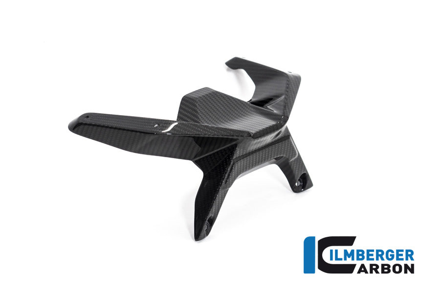 Ilmberger Carbon Windshield BMW R 1250 R 2019 - 2022