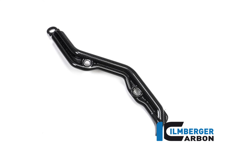 Ilmberger Carbon Brake Pipe Cover Ducati Panigale 1299 (From 2015)