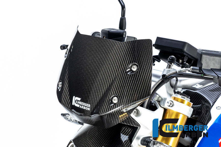 Ilmberger Carbon Windshield BMW R 1250 R 2019 - 2022