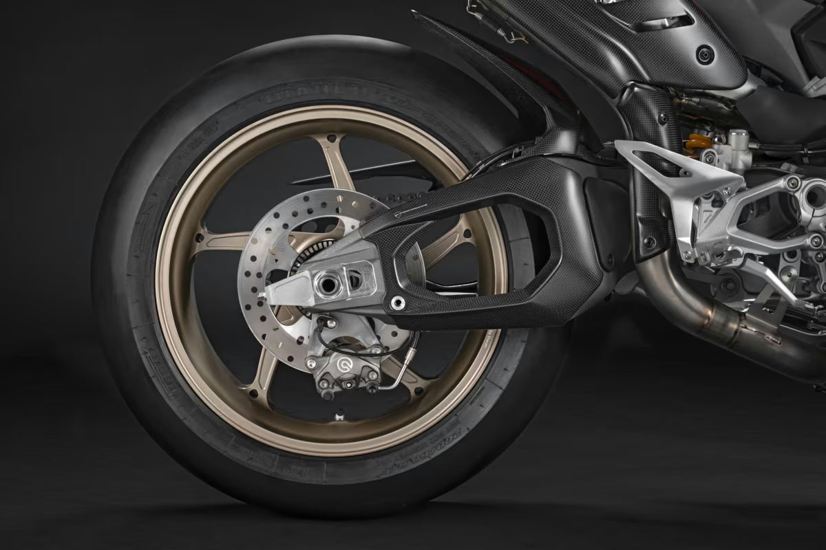 Ducati Performance Carbon Swingarm Guard