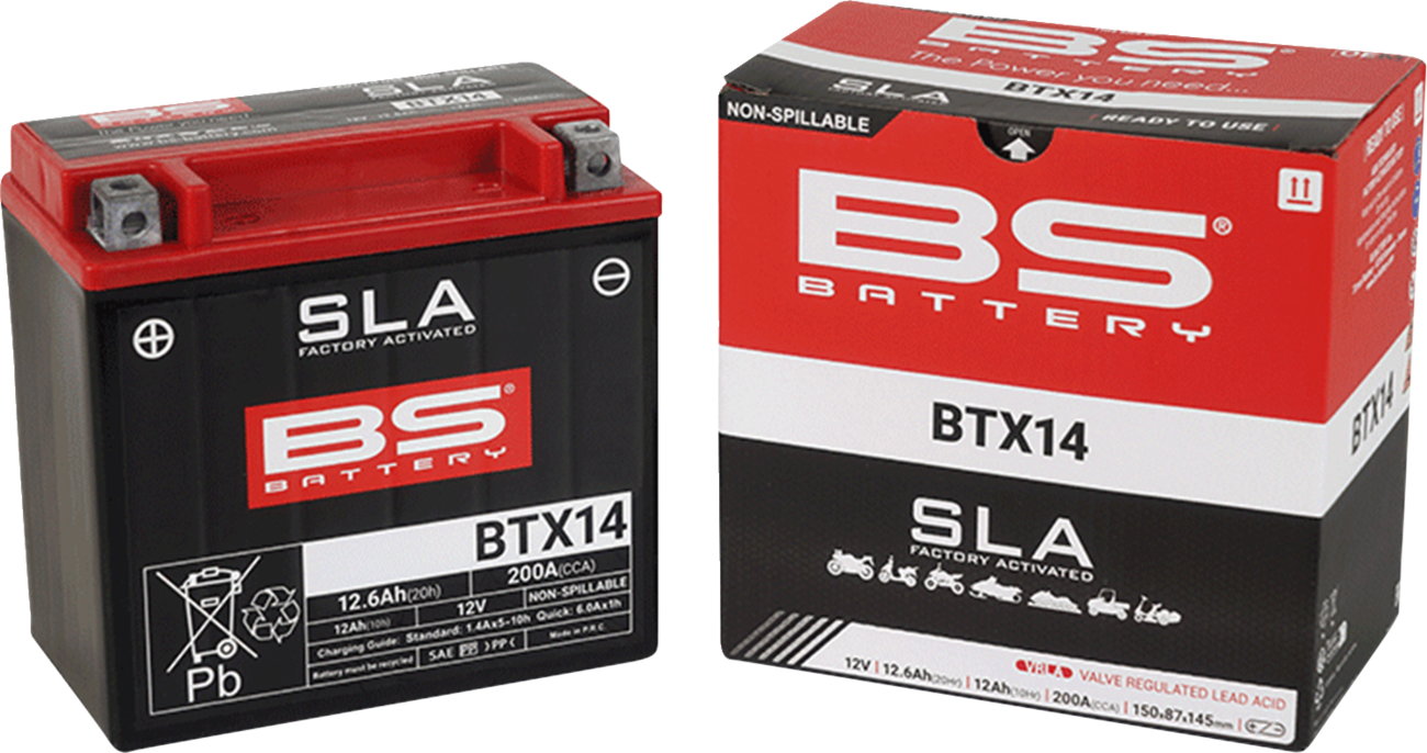 BS Battery Battery - BTX14 (YTX)