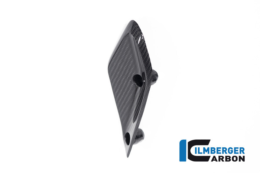 Ilmberger Carbon Flap On The Fairing Left Side BMW R 1250 RS