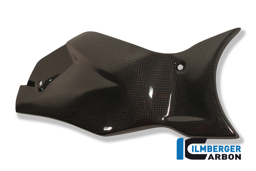 Ilmberger Carbon Swingarm Cover / Chain Guard Carbon