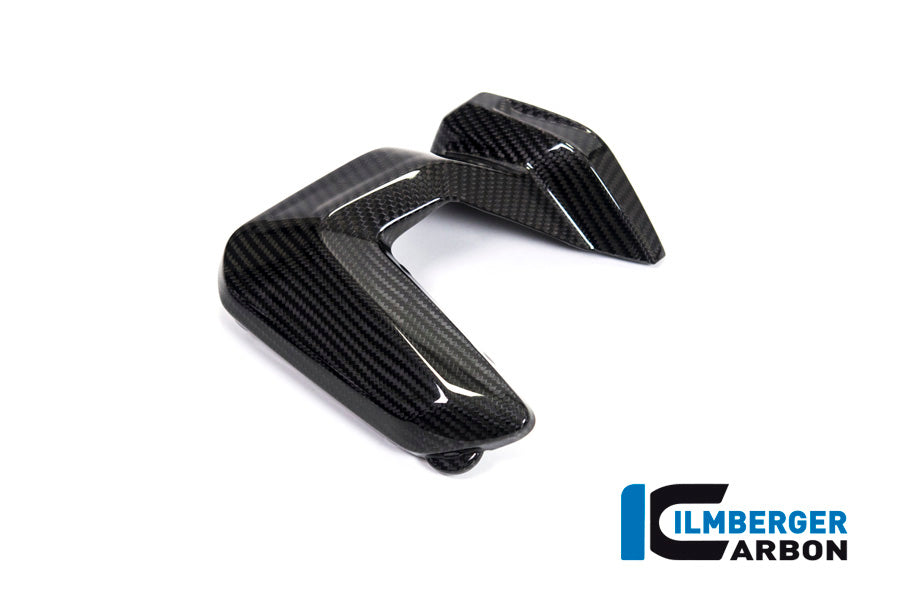 Ilmberger Carbon Spark Plug Cover Right Side BMW R 1250 GS / R 1250 R, And RS