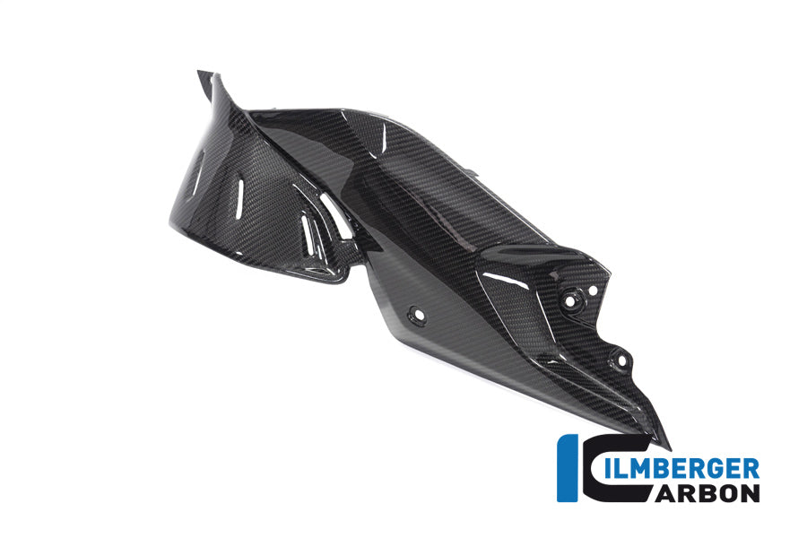 Ilmberger Carbon Side Panel Under The Tank Left BMW R 1250 R