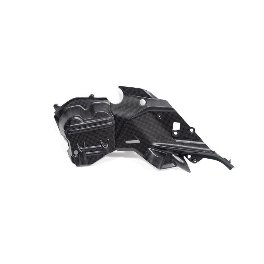 Ilmberger Carbon Fiber Right Side Engine Cover Ducati Diavel V4