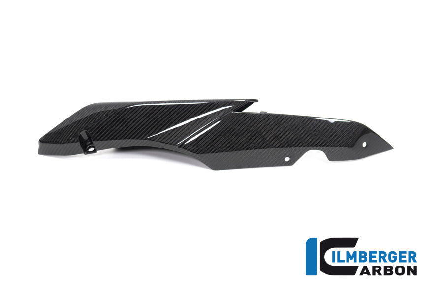 Ilmberger Carbon Seat Unit Panel Left BMW R 1250 R / R 1250 RS