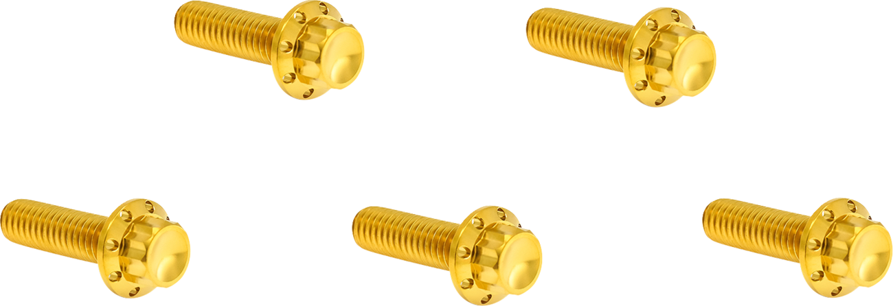 Arlen NESS Derby Cover Titanium 12-Point Bolt Kit