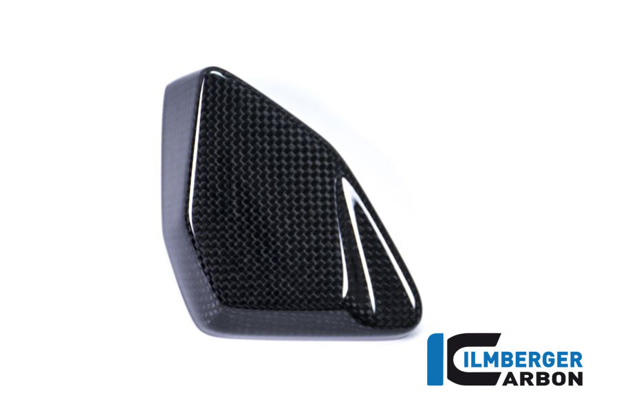 Ilmberger Carbon ESA Box Cover BMW R 1200 GS