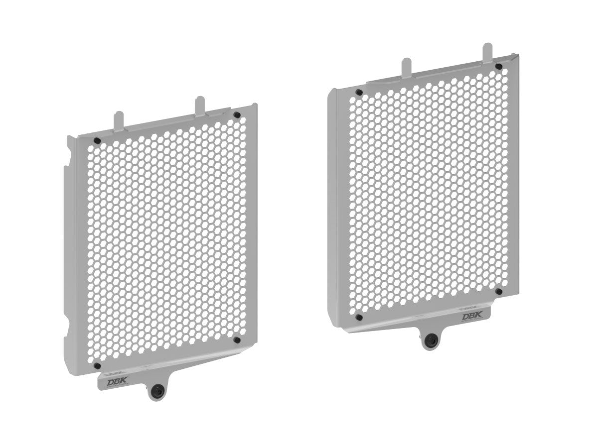 Ducabike DBK GR21 BMW R1300GS Water Radiator Guard - SILVER