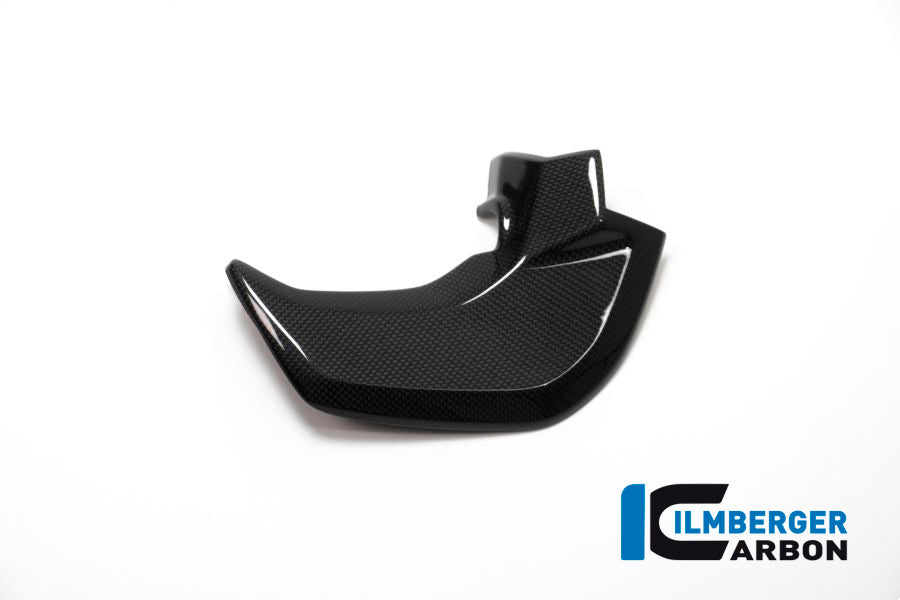 Ilmberger Carbon Cover Near The Instrument Right Side Surface - Gloss