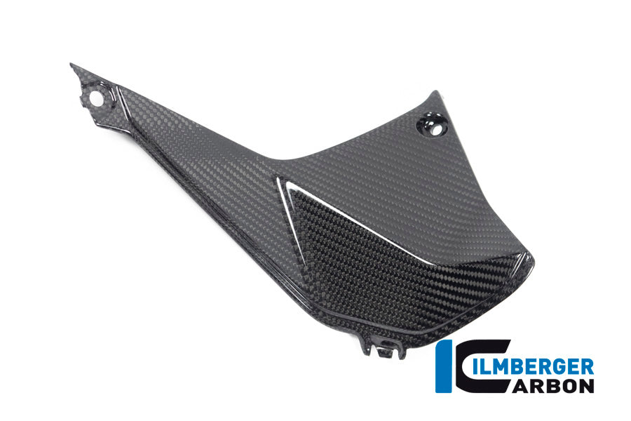 Ilmberger Carbon Cover Near The Instrument Right Side BMW R 1250 RS