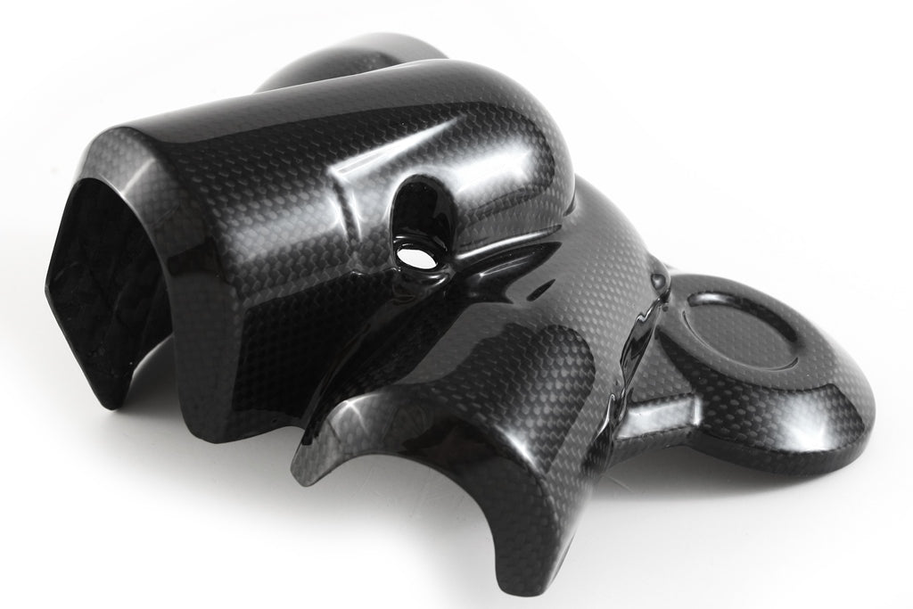 Fullsix Carbon Water Pump Protection