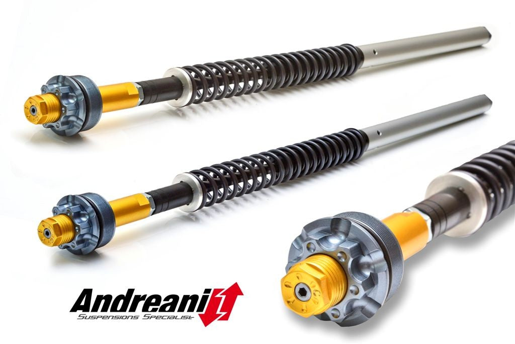 Ducabike DBK CFD105/D09 Hym 821 Adjustable Cartridge Kit