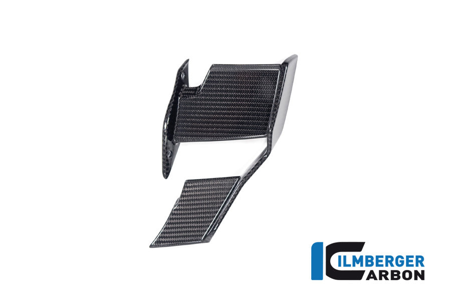Ilmberger Carbon Winglet Left BMW M1000R 2023