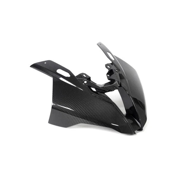 Ilmberger Carbon Fiber Headlight Front Fairing Panel BMW S1000RR K67