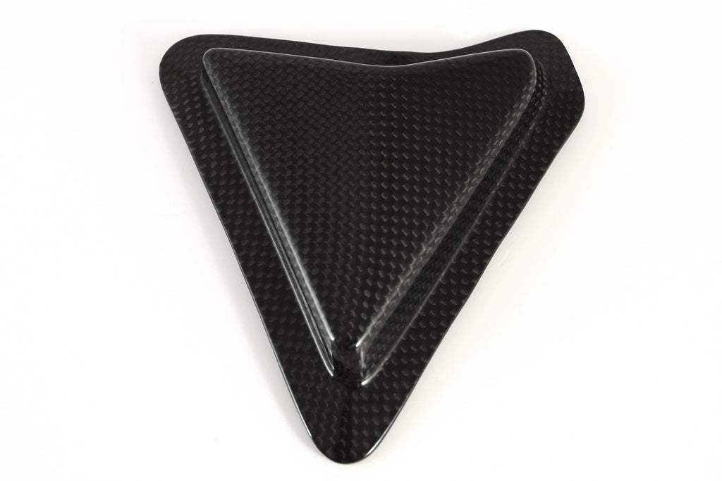 Fullsix Carbon Swingarm Guard - Slider