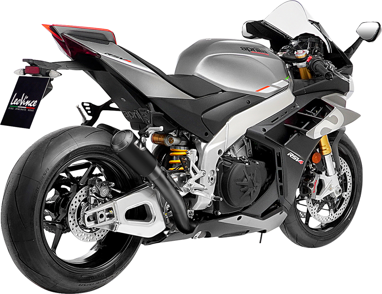 LeoVince LV-10 Slip-On Muffler