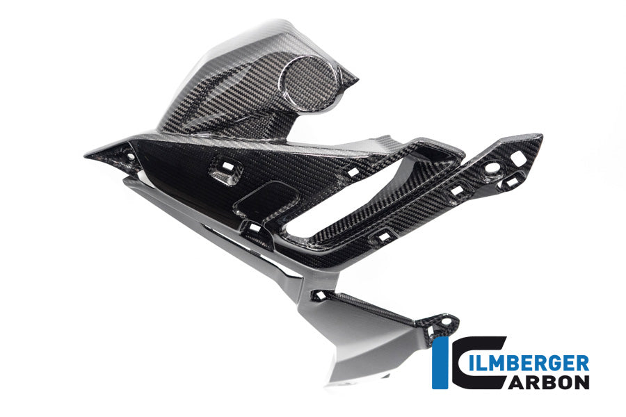 Ilmberger Carbon Watercooler Cover Left Side BMW S 1000 R MY From 2021