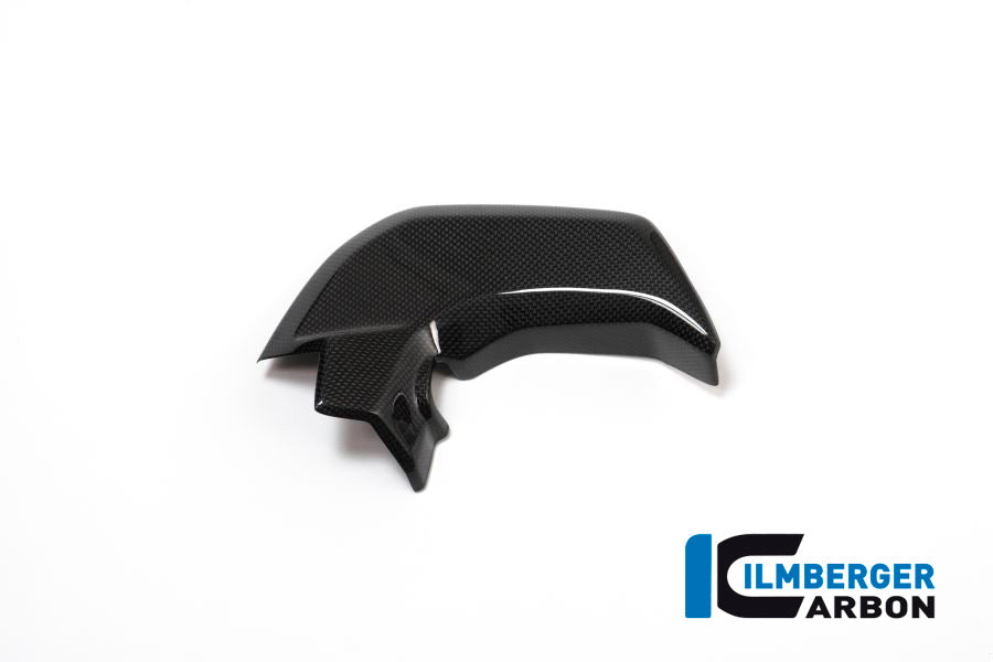Ilmberger Carbon Cover Near The Instrument Right Side Surface - Gloss