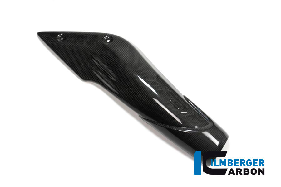 Ilmberger Carbon Air Channel Cover (Right Side) Carbon - BMW R Nine T