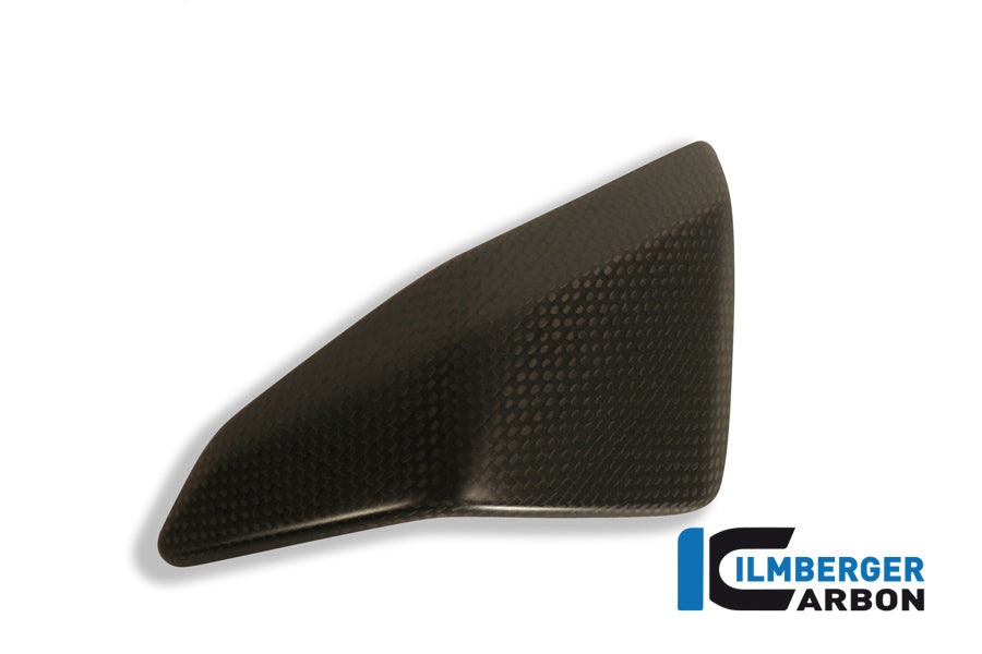 Ilmberger Carbon Right Side Fairing Insert Carbon