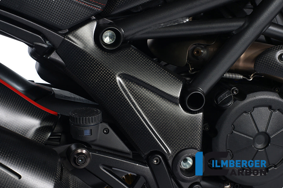Ilmberger Carbon Frame Cover Right Carbon
