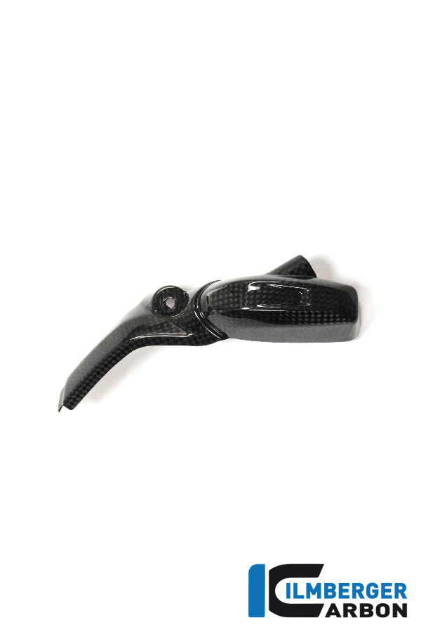 Ilmberger Carbon Injector Cover Left Side Carbon - BMW R 1200 GS (LC) From 2013 To 2015